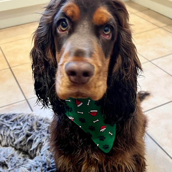 Christmas gnomes or Santa paws dog bandanna