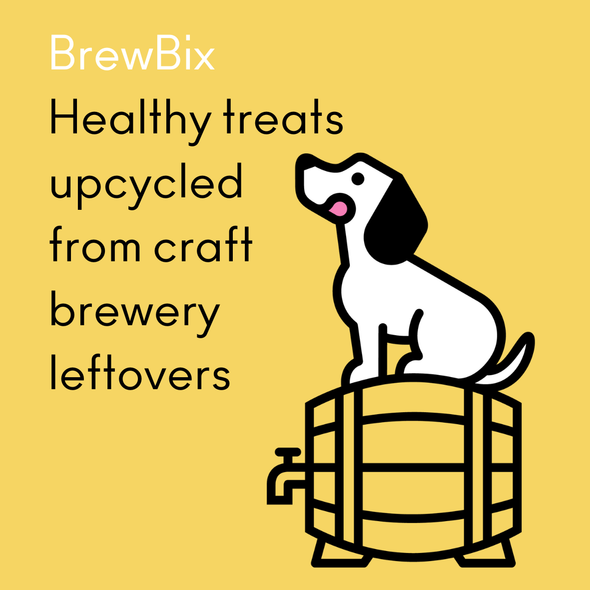 100g BrewBix Peanut Butter Dog biscuits