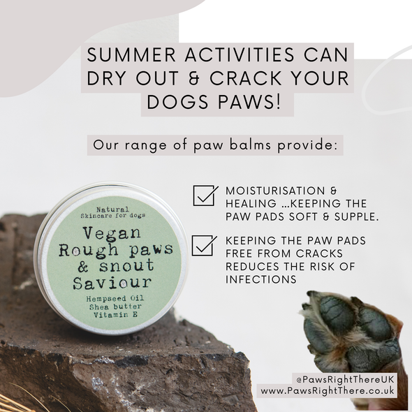 Paw & Nose Balm  | VEGAN | 100% NATURAL | PLASTIC FREE | ECO