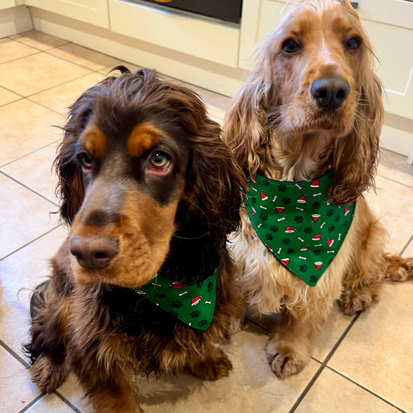 Christmas gnomes or Santa paws dog bandanna